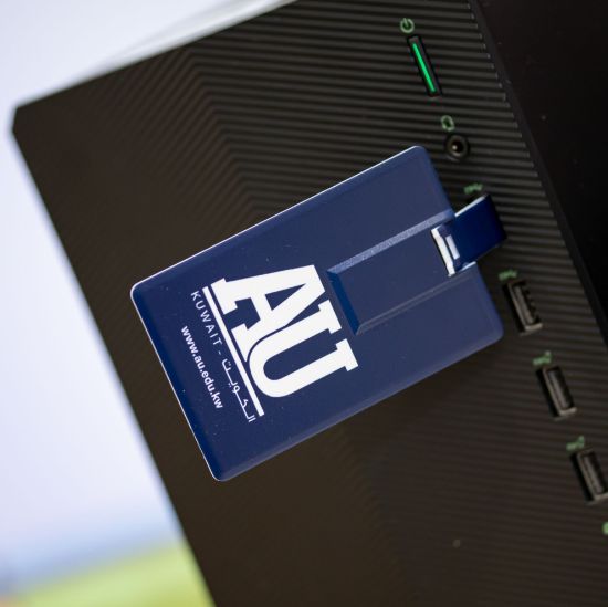 Picture of Card Shape USB Flash Drive (4GB)