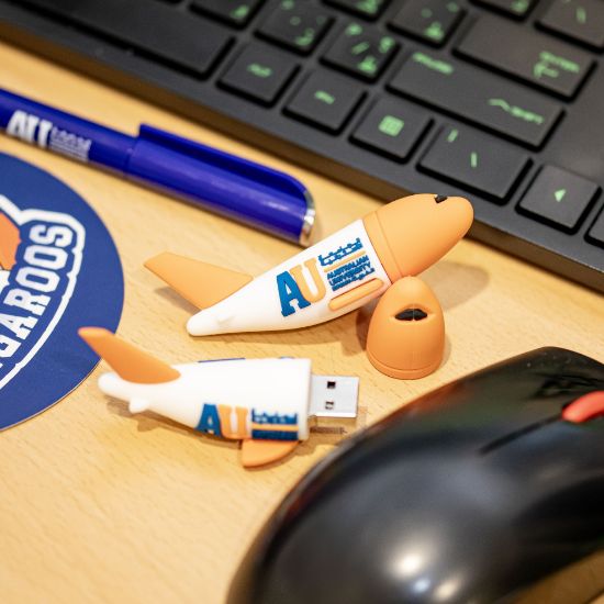 Picture of Airplane USB Flash Drive (16GB)