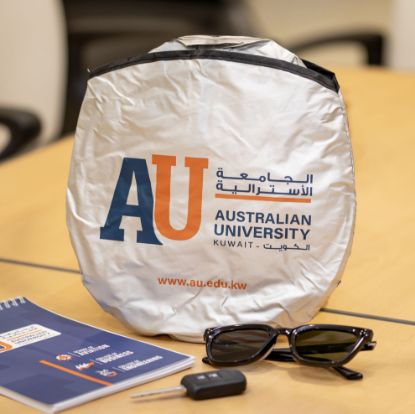 Picture of AU Branded Gray Car Sunshade